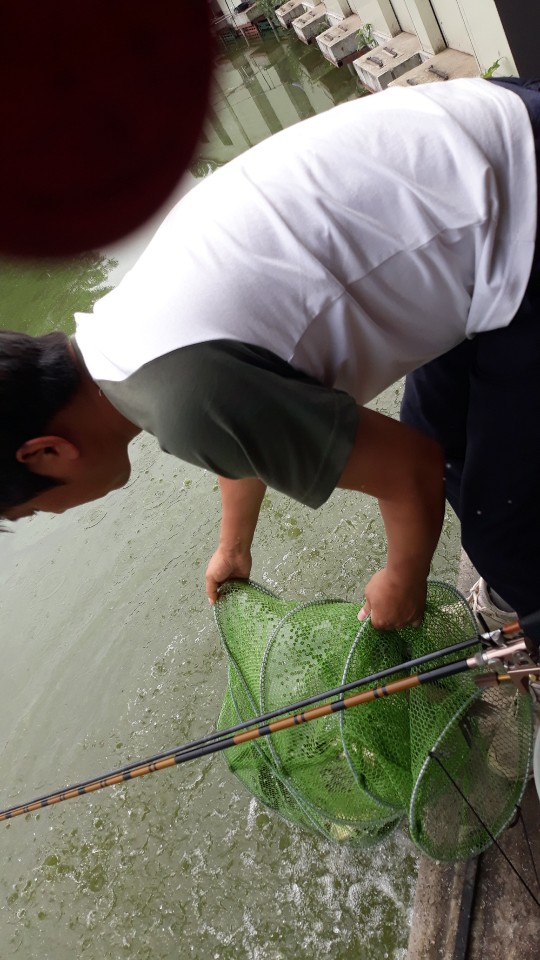 KakaoTalk_20190630_075937599.jpg