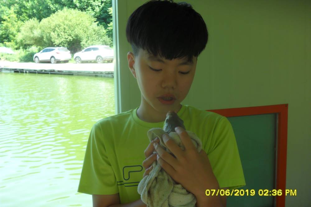 SAM_0250.JPG