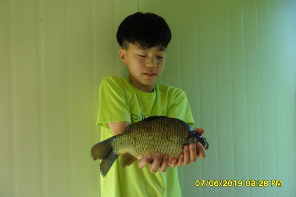 SAM_0265.JPG