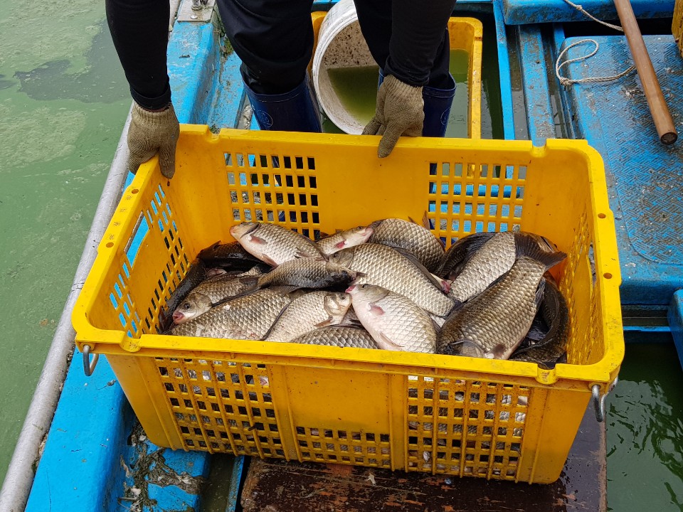 KakaoTalk_20190616_205410643.jpg