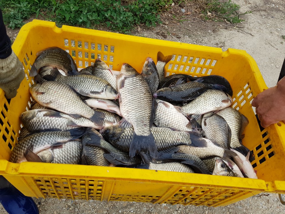 KakaoTalk_20190616_205411923.jpg