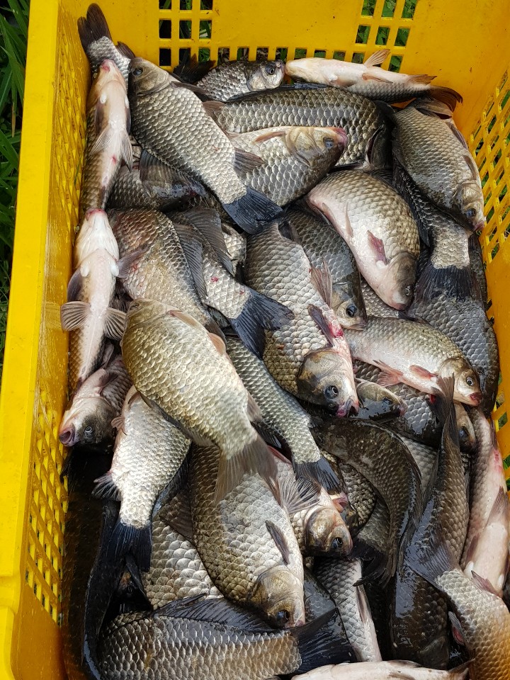 KakaoTalk_20190616_205413543.jpg