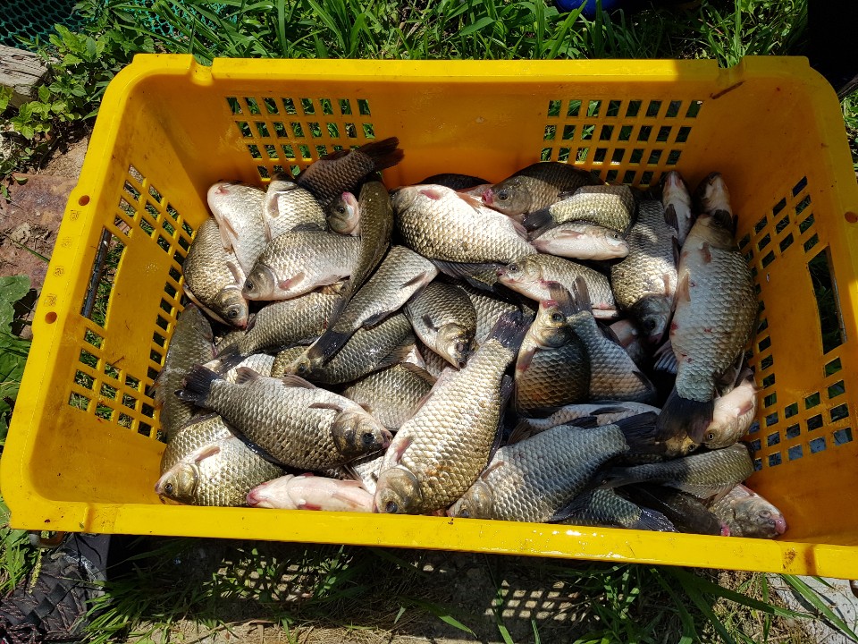 KakaoTalk_20190708_220405891.jpg