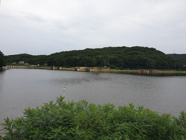 20190710_151416.jpg