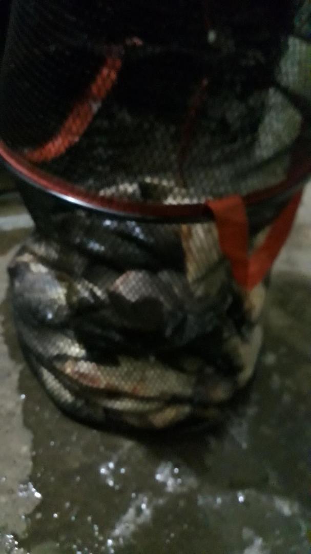 Resized_20190710_041449_1993.jpeg