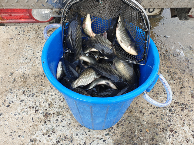 20190712_080436.jpg