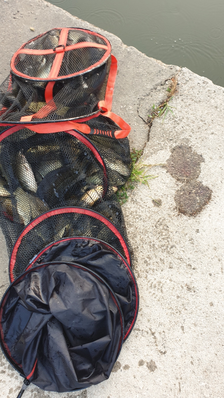 Resized_20190714_064929.jpg
