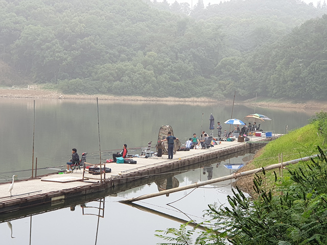 20190714_072535.jpg
