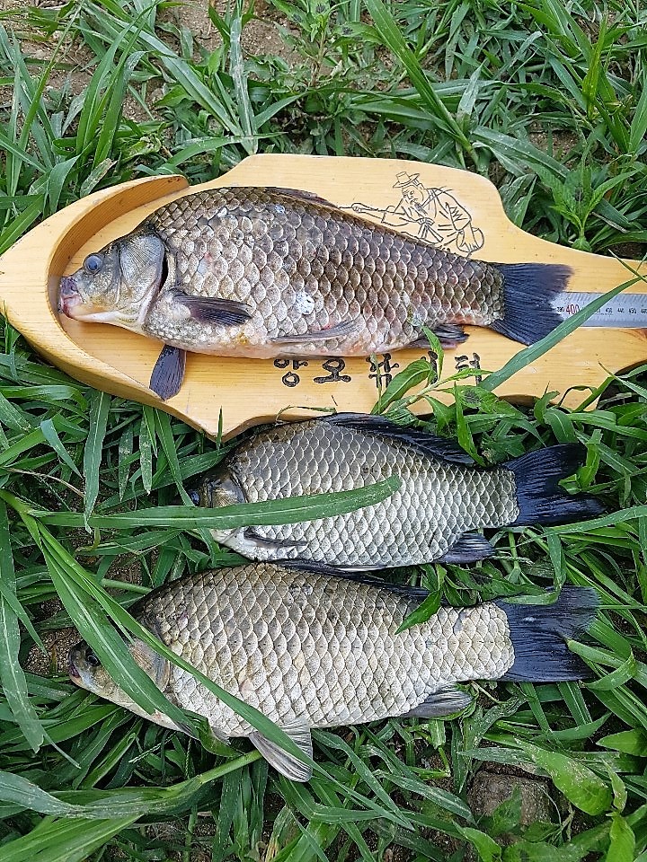 KakaoTalk_20190715_190820964.jpg