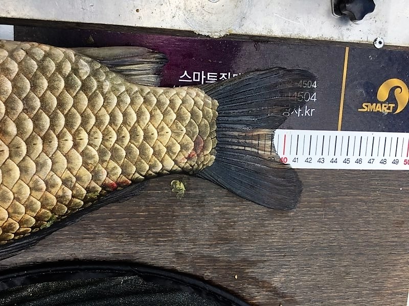 KakaoTalk_20190715_190823697.jpg