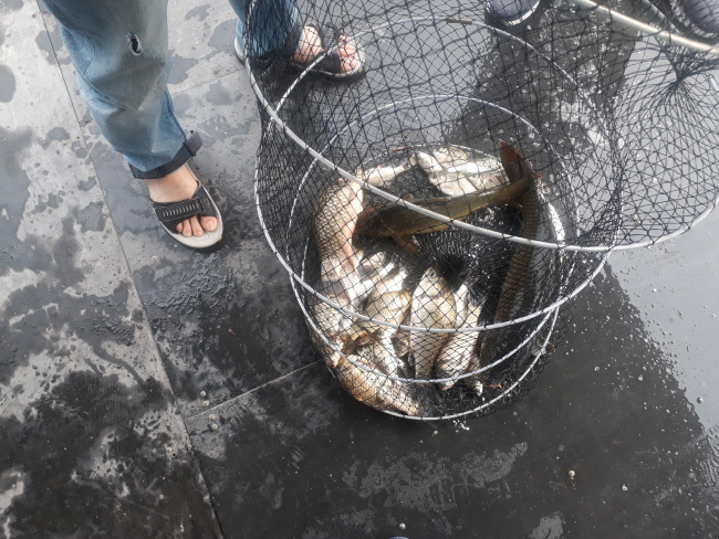 새 폴더-20190713_083645.jpg
