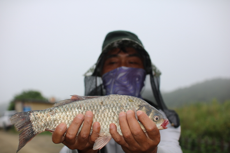 [크기변환]IMG_4678.JPG