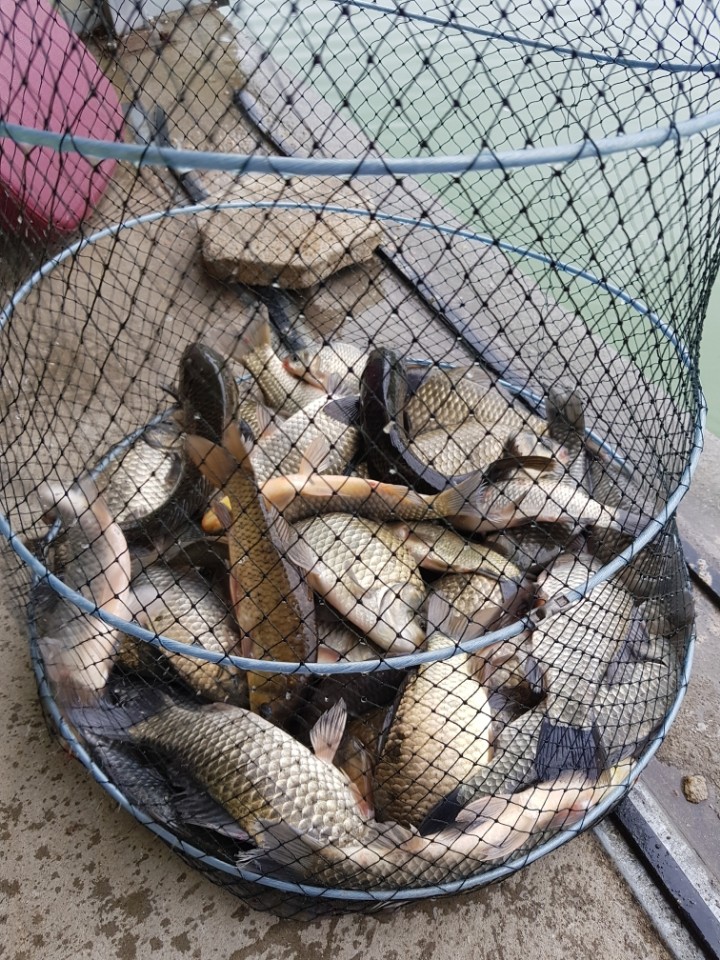 KakaoTalk_20190721_101515787.jpg