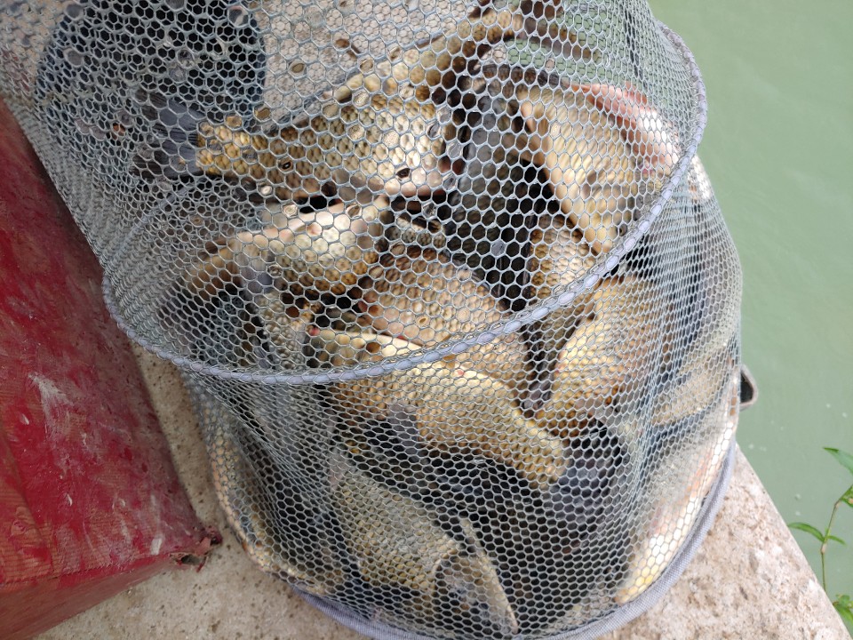 KakaoTalk_20190724_074629580.jpg