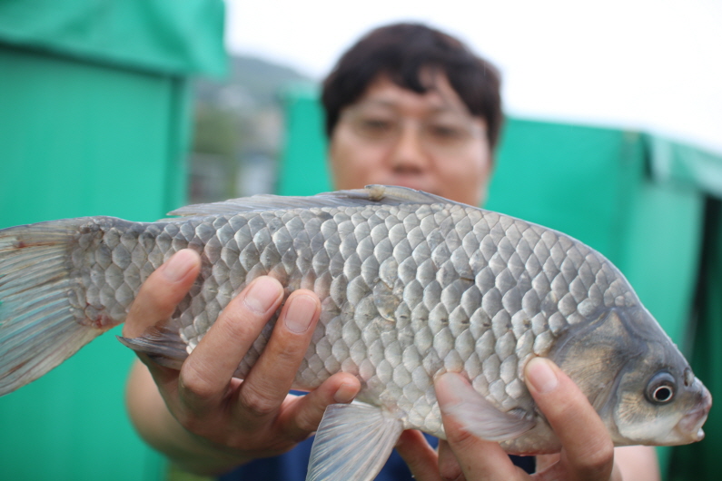 [크기변환]IMG_4946.JPG