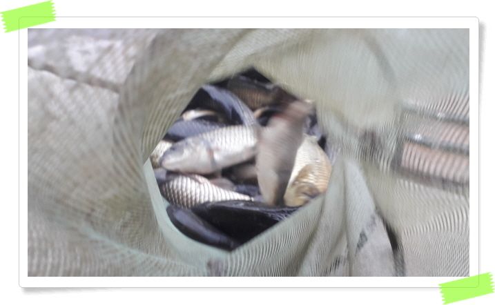 ²Ù¹Ì±â_20190808_071720.jpg