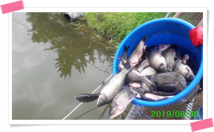 ²Ù¹Ì±â_20190808_122847.jpg
