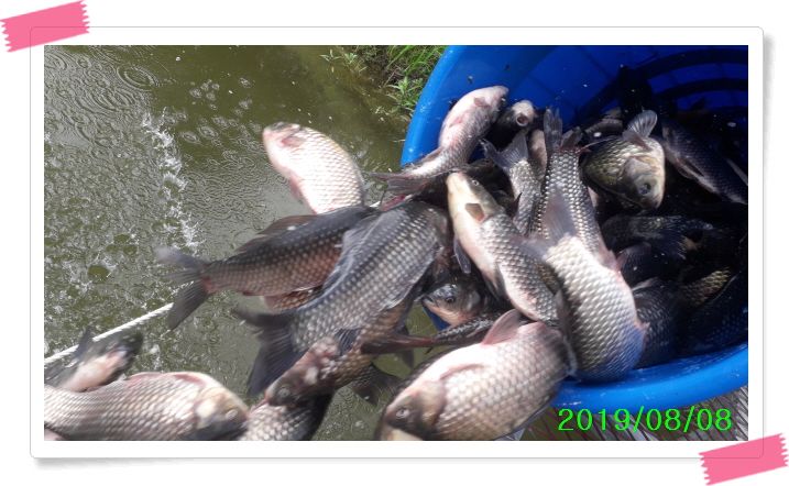 ²Ù¹Ì±â_20190808_122848.jpg