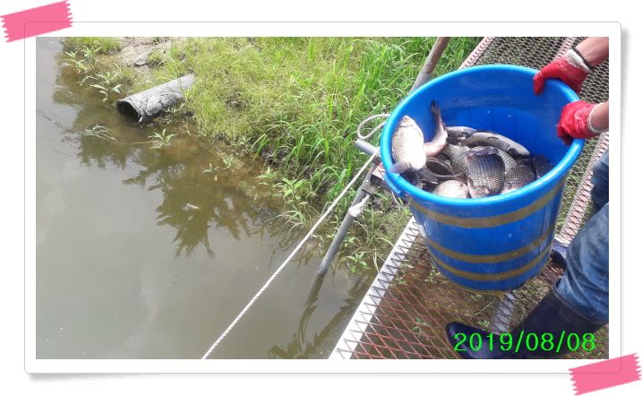 ²Ù¹Ì±â_20190808_123149.jpg