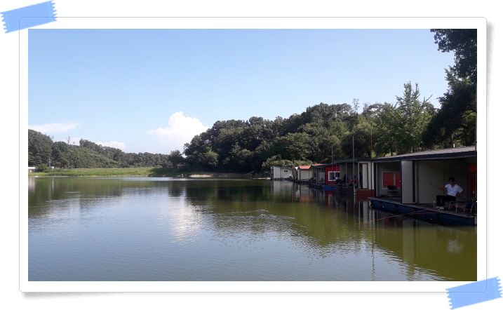 ²Ù¹Ì±â_20190807_160204.jpg