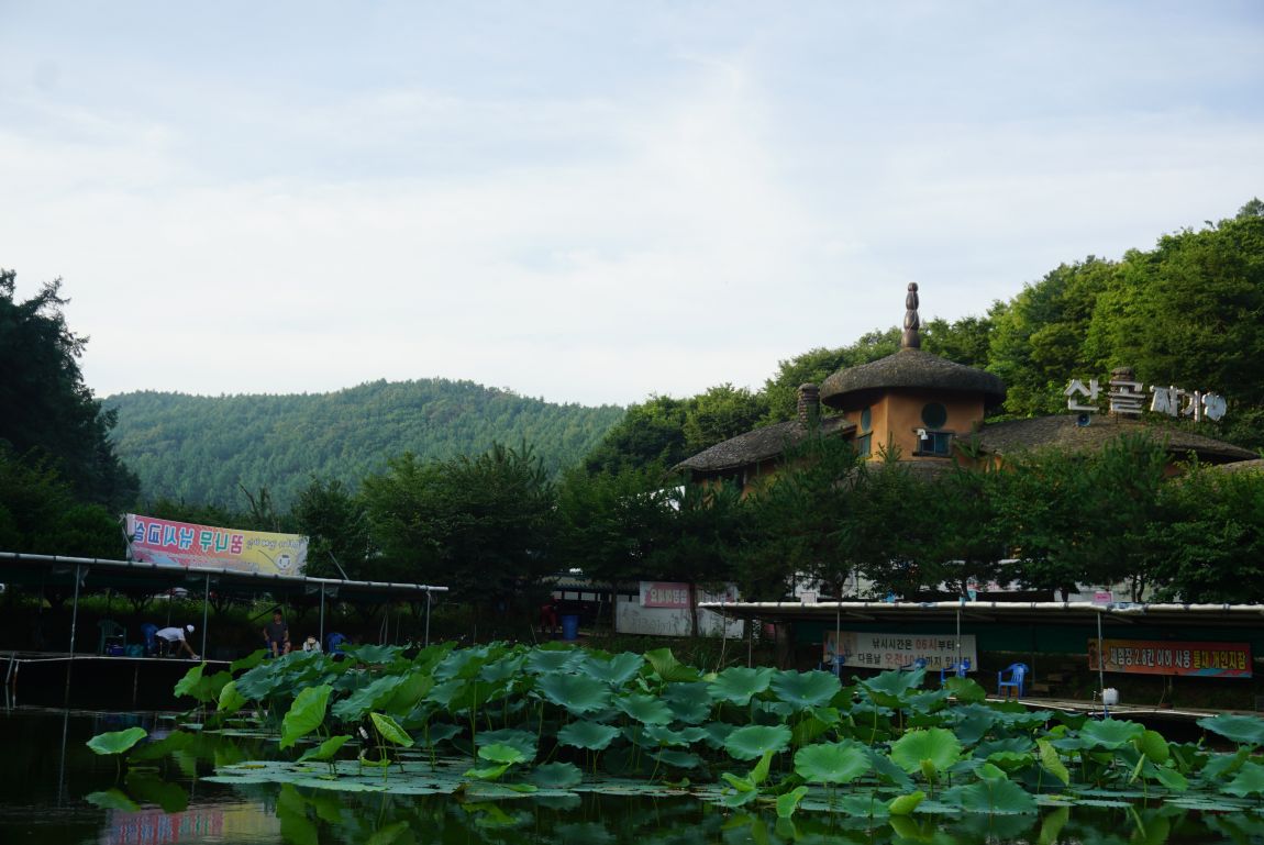 DSC01626.JPG