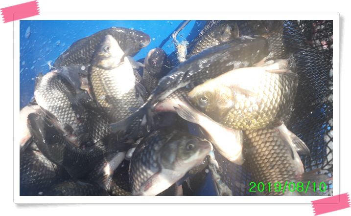 ²Ù¹Ì±â_20190810_124745.jpg