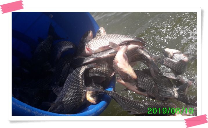 ²Ù¹Ì±â_20190810_124853.jpg