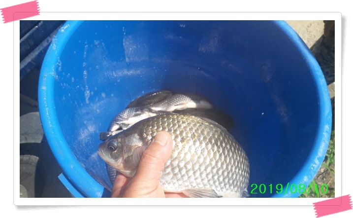 ²Ù¹Ì±â_20190810_124937.jpg