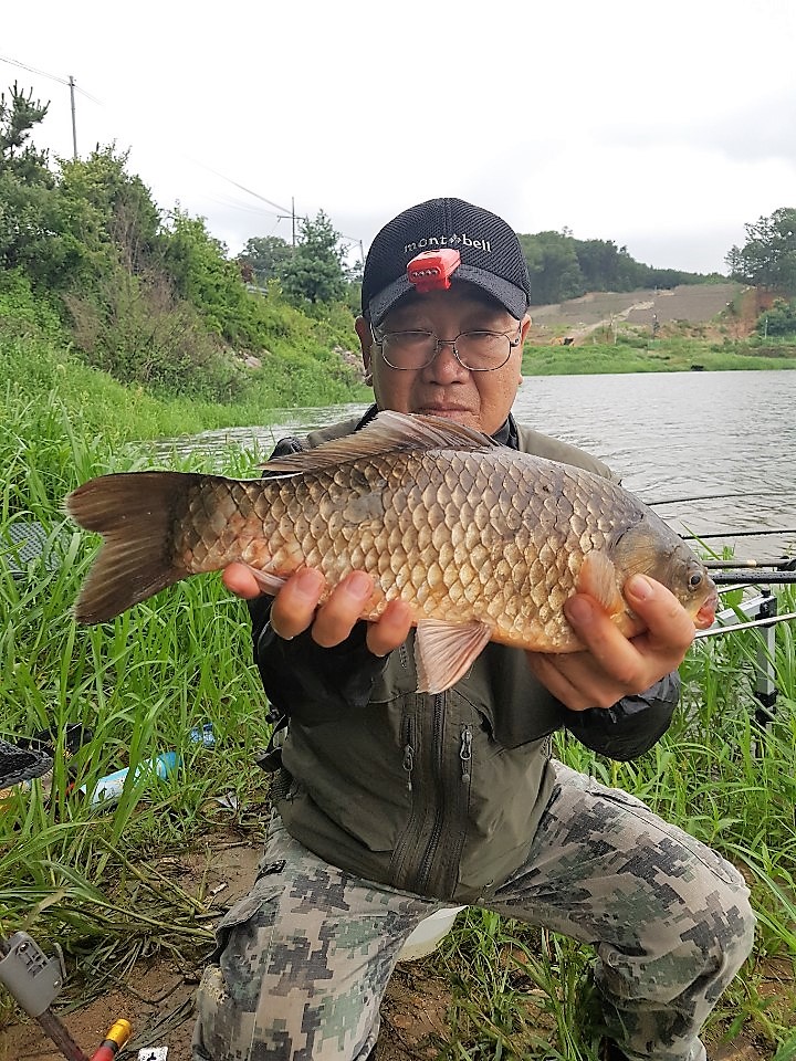 KakaoTalk_20190730_094422718.jpg