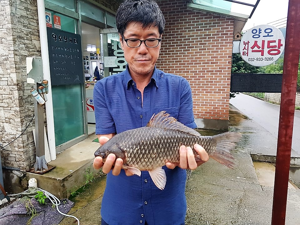 KakaoTalk_20190730_094422973.jpg