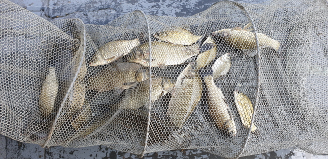  -20190803_101920.jpg