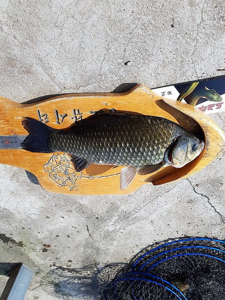 KakaoTalk_20190803_140421621.jpg