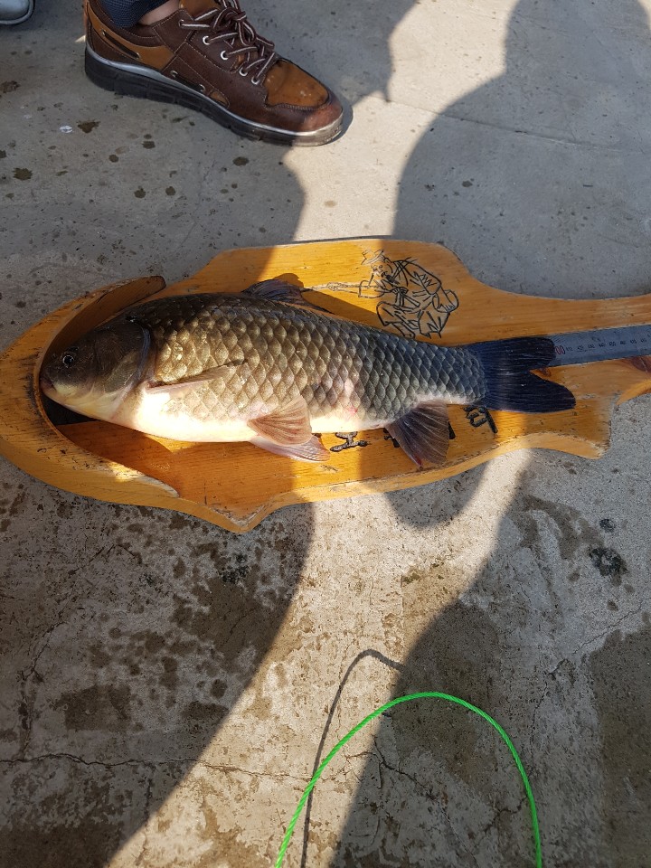 KakaoTalk_20190803_140423213.jpg