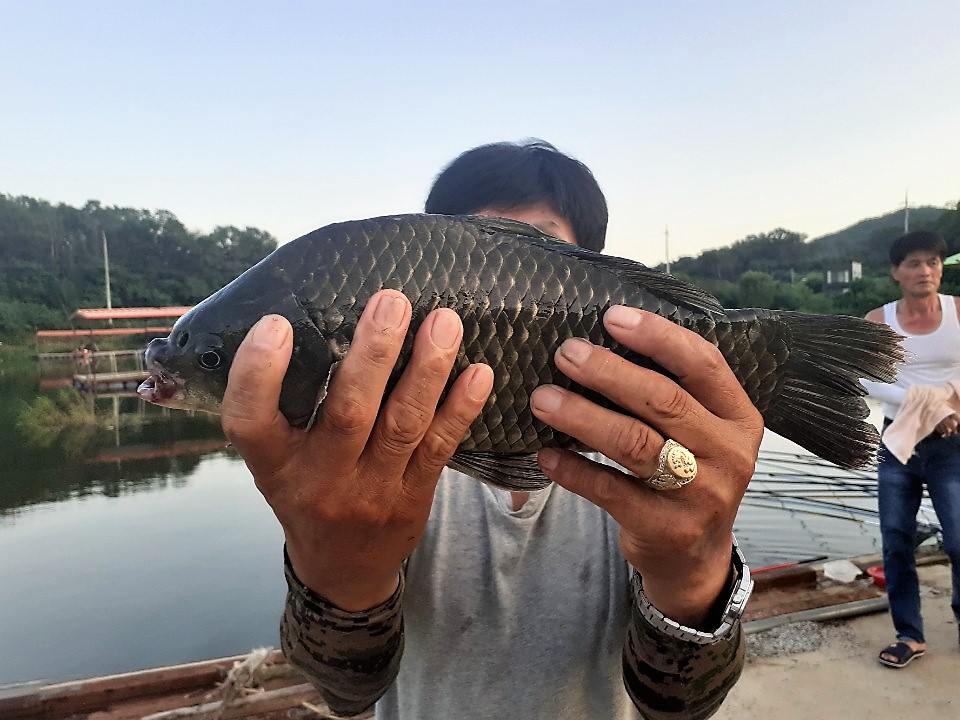 KakaoTalk_20190803_141635771.jpg