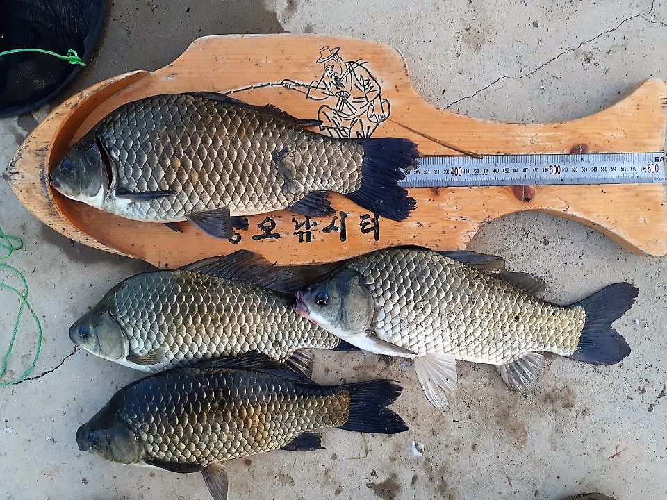 KakaoTalk_20190803_141636197.jpg