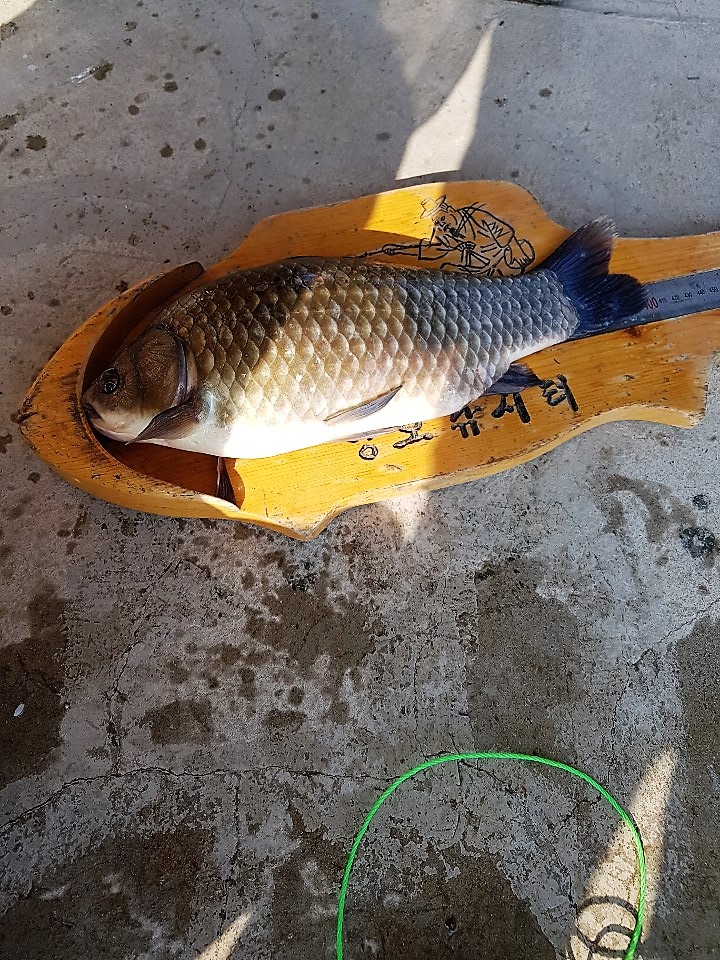 KakaoTalk_20190803_140422999.jpg