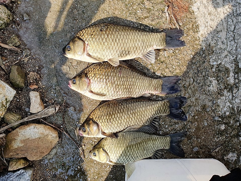 KakaoTalk_20190803_141713271.jpg