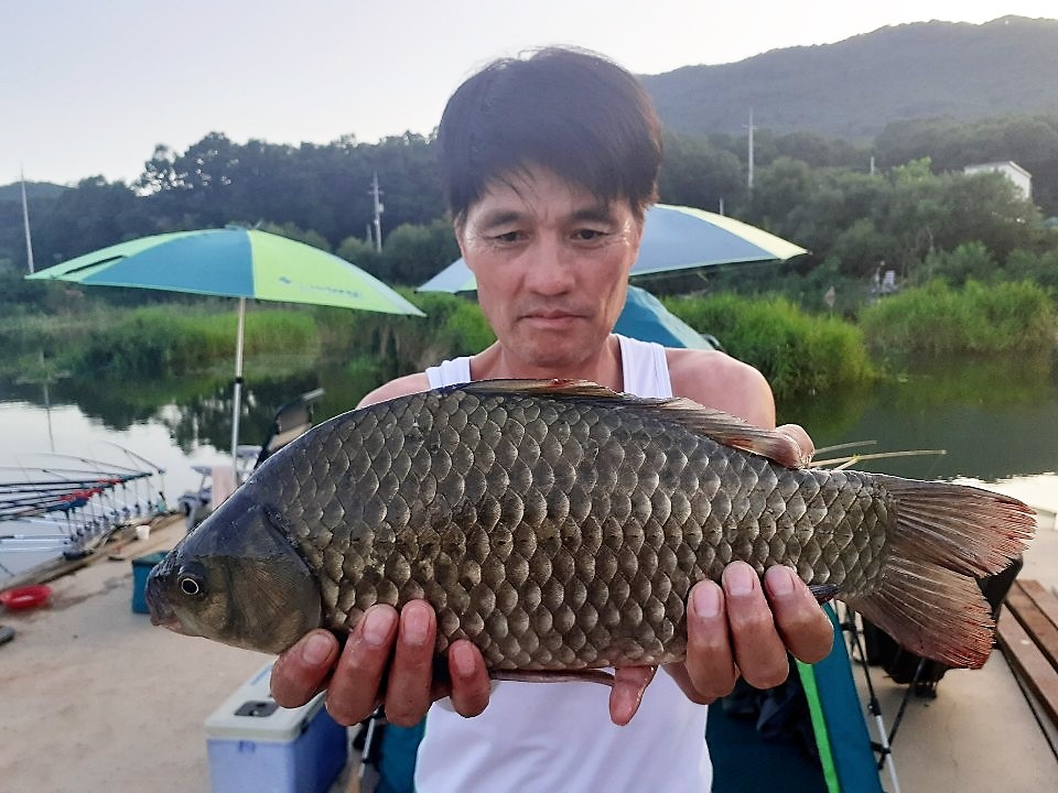 KakaoTalk_20190803_141636668.jpg