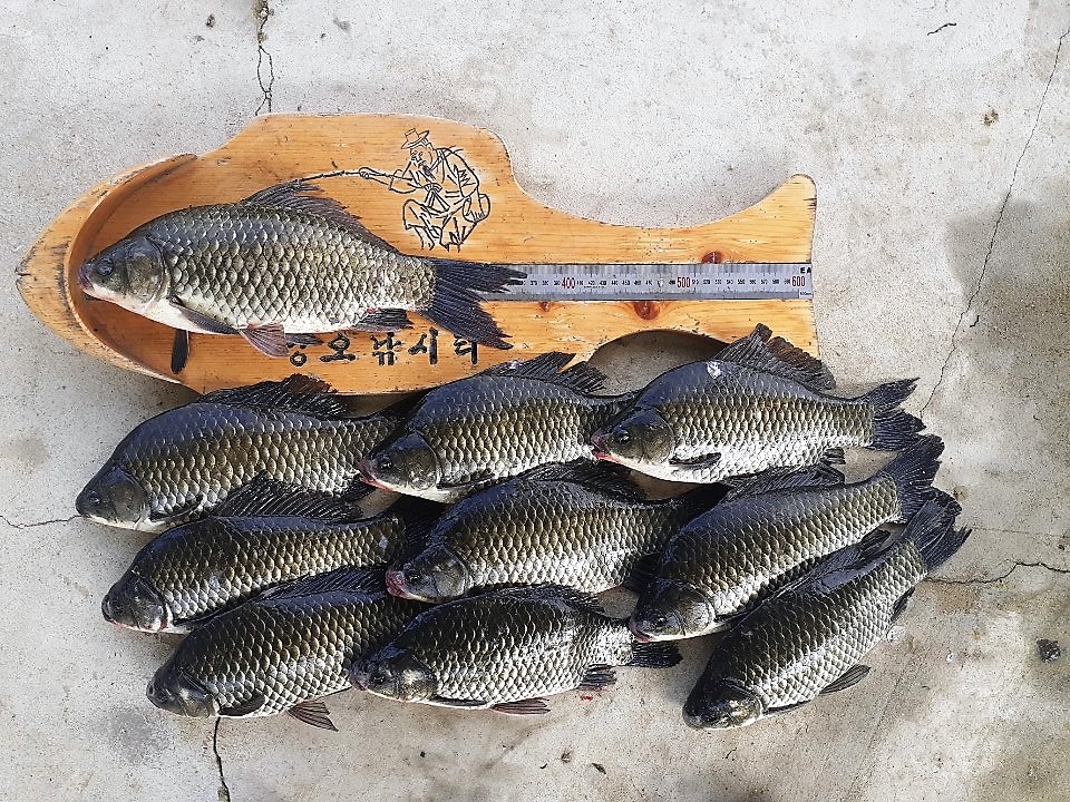KakaoTalk_20190804_230729173.jpg