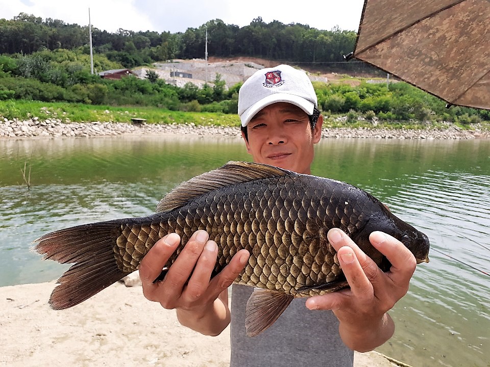 KakaoTalk_20190802_155930194.jpg