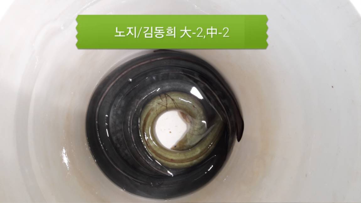 20190808_080739.jpg