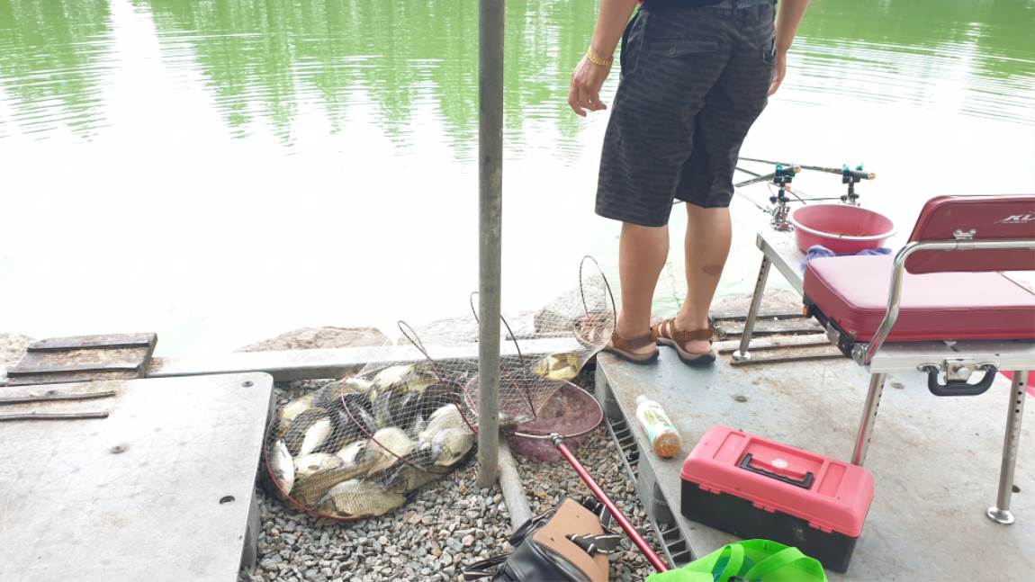 20190812_142547.jpg