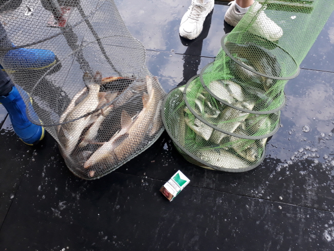 8월18일-20190817_073902.jpg