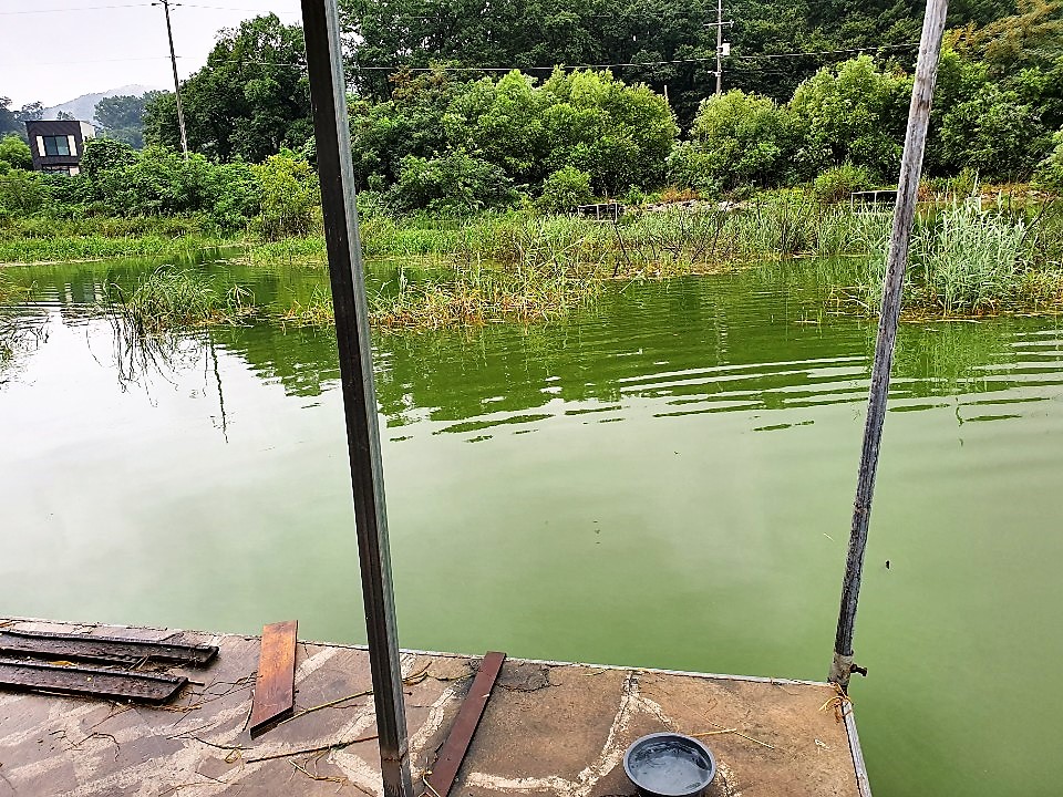 KakaoTalk_20190813_124133378.jpg