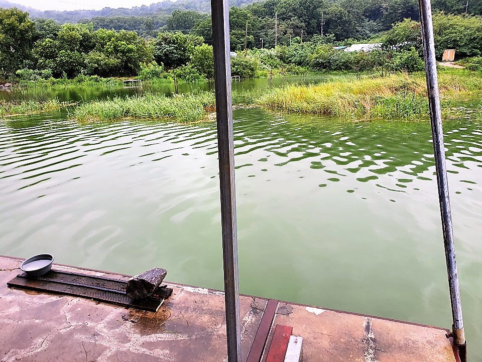 KakaoTalk_20190813_124136544.jpg