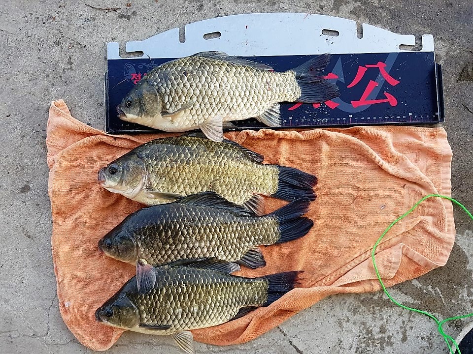 KakaoTalk_20190820_154110877.jpg
