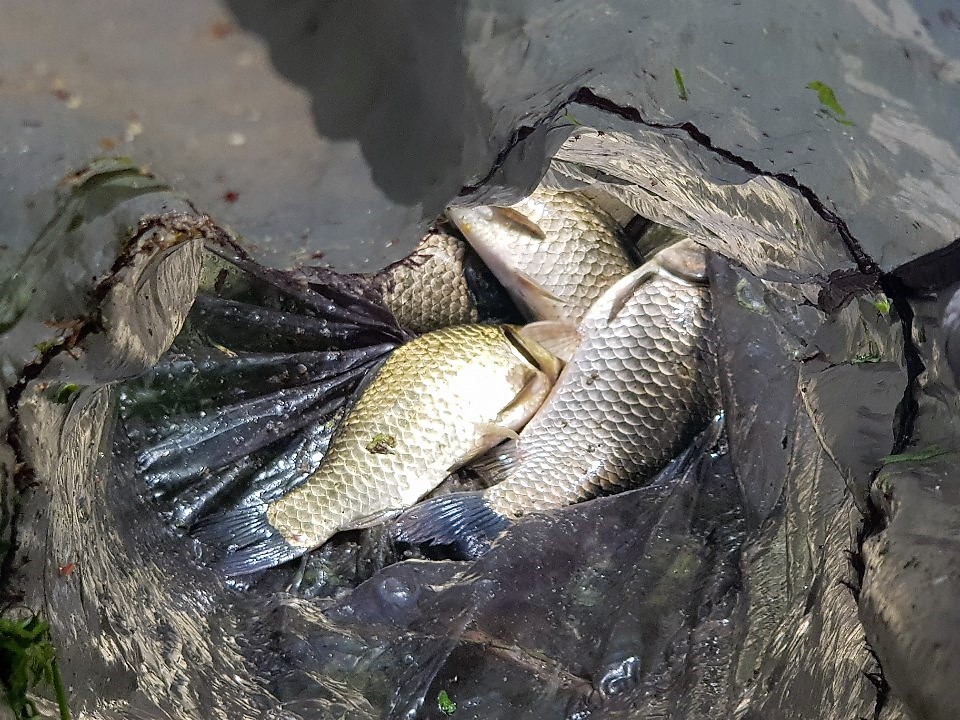 KakaoTalk_20190820_154034764.jpg