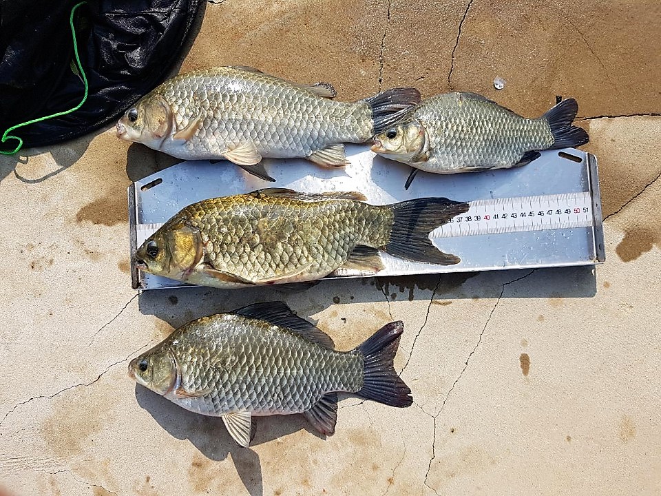 KakaoTalk_20190820_154110688.jpg