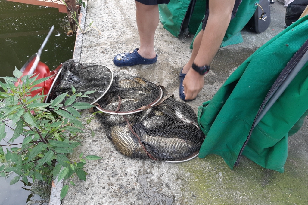 Resized_20190821_075916.jpeg