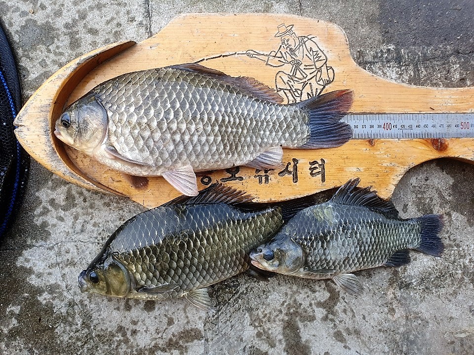 KakaoTalk_20190828_112913718.jpg